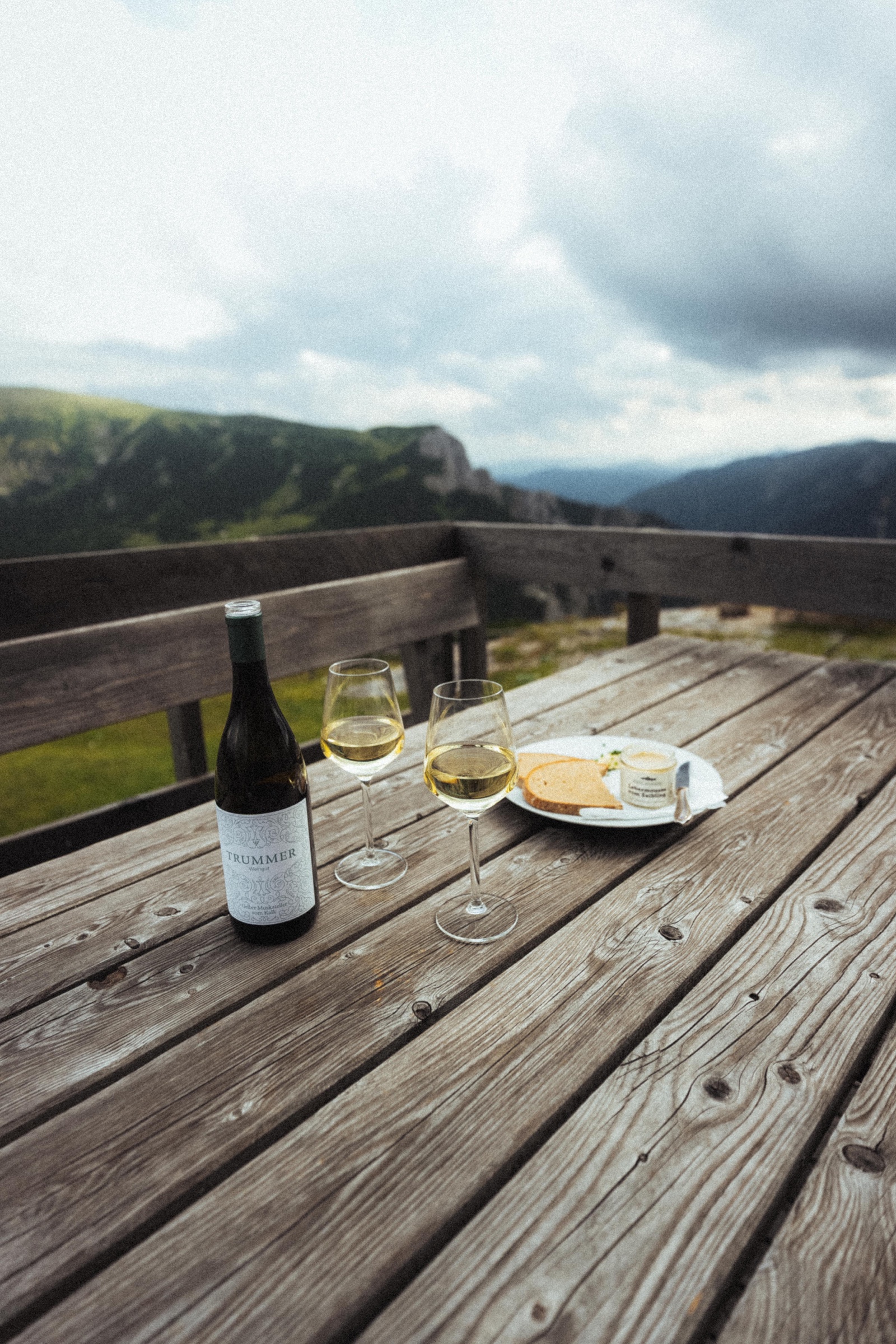 Wein und Saiblingsmousse auf der Terrasse mit Raxpanorama